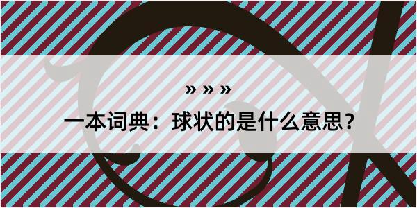 一本词典：球状的是什么意思？