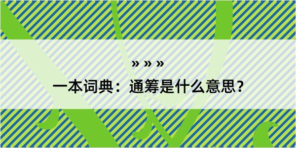 一本词典：通筹是什么意思？