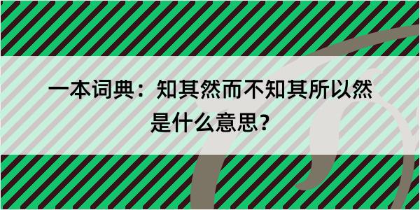 一本词典：知其然而不知其所以然是什么意思？