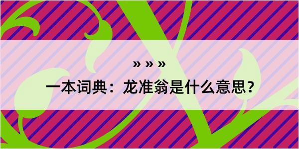 一本词典：龙准翁是什么意思？