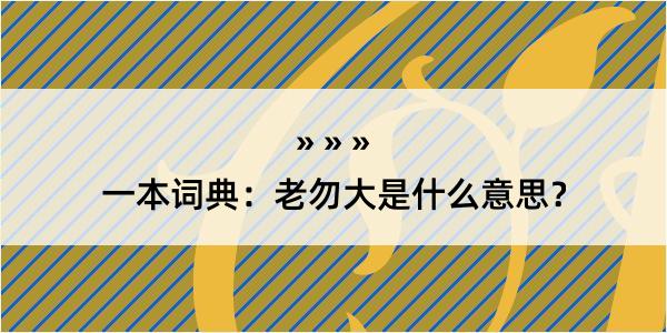 一本词典：老勿大是什么意思？