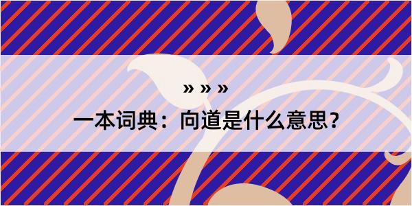 一本词典：向道是什么意思？