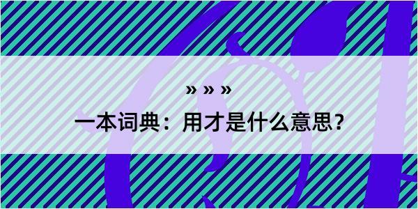 一本词典：用才是什么意思？