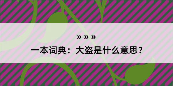 一本词典：大盗是什么意思？