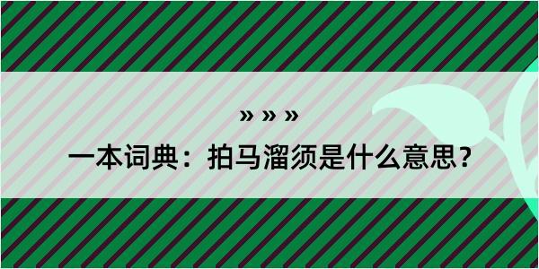 一本词典：拍马溜须是什么意思？