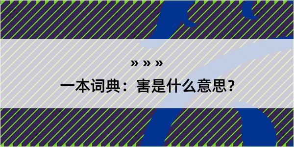 一本词典：害是什么意思？