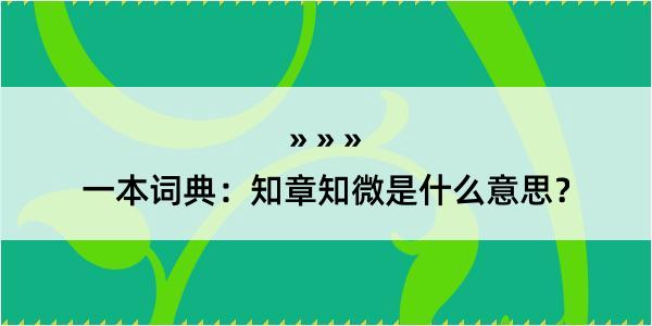 一本词典：知章知微是什么意思？