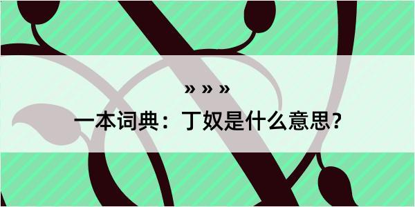 一本词典：丁奴是什么意思？