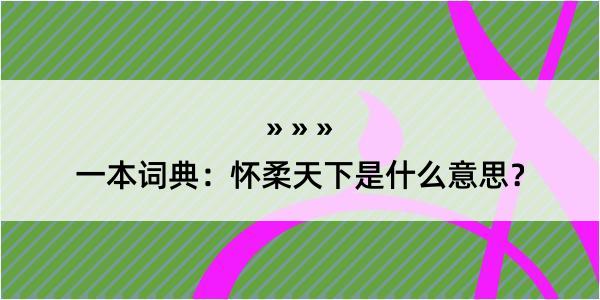 一本词典：怀柔天下是什么意思？