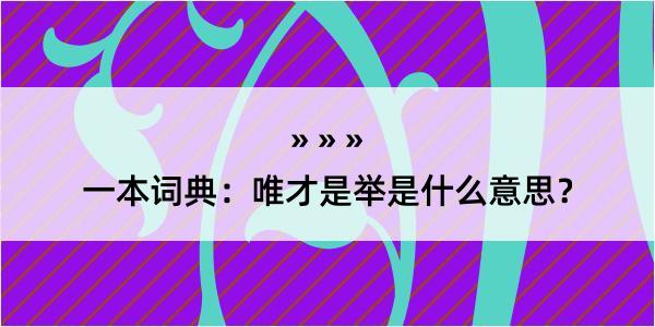 一本词典：唯才是举是什么意思？