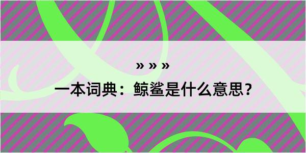 一本词典：鲸鲨是什么意思？