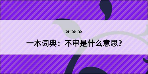 一本词典：不审是什么意思？