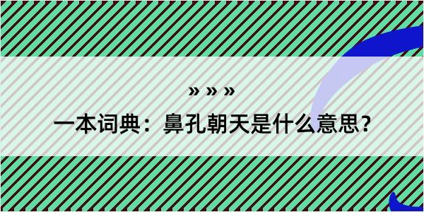 一本词典：鼻孔朝天是什么意思？