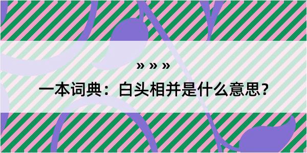 一本词典：白头相并是什么意思？