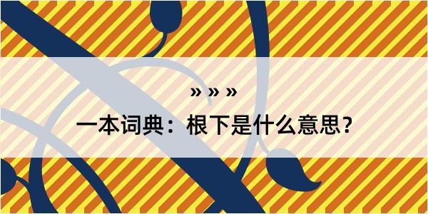 一本词典：根下是什么意思？