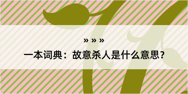 一本词典：故意杀人是什么意思？