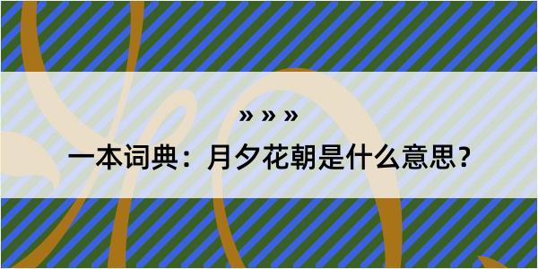 一本词典：月夕花朝是什么意思？