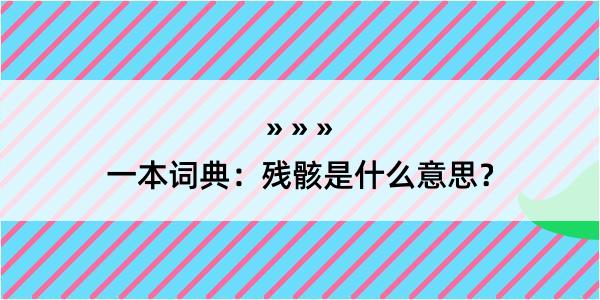 一本词典：残骸是什么意思？