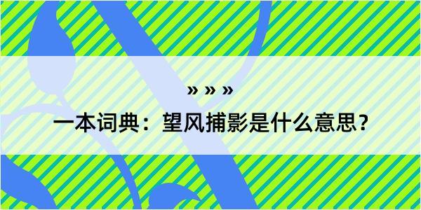 一本词典：望风捕影是什么意思？