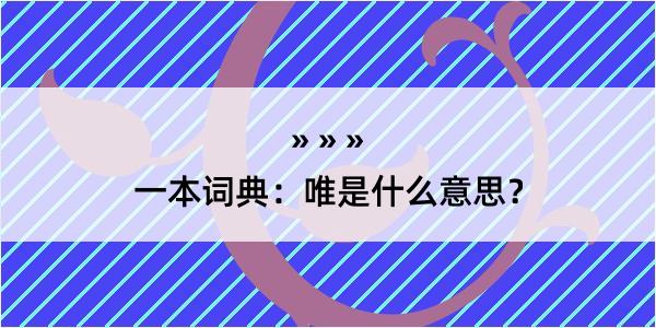 一本词典：唯是什么意思？