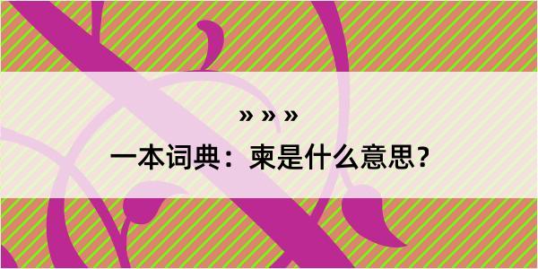 一本词典：柬是什么意思？