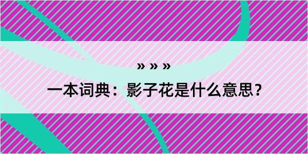 一本词典：影子花是什么意思？