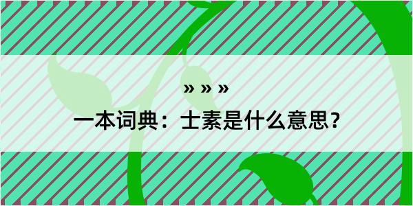 一本词典：士素是什么意思？