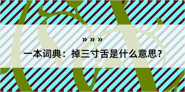 一本词典：掉三寸舌是什么意思？