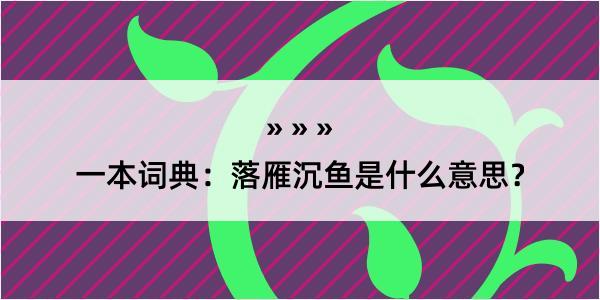 一本词典：落雁沉鱼是什么意思？