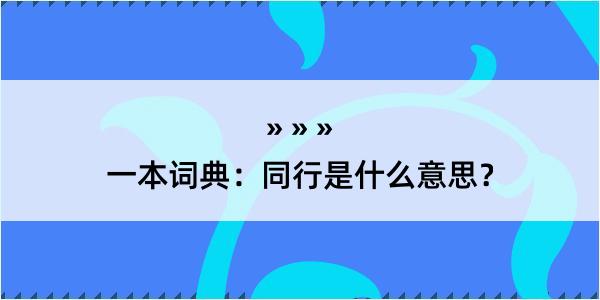 一本词典：同行是什么意思？