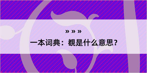 一本词典：覩是什么意思？