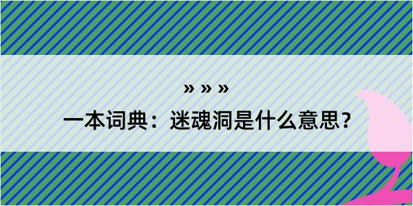 一本词典：迷魂洞是什么意思？