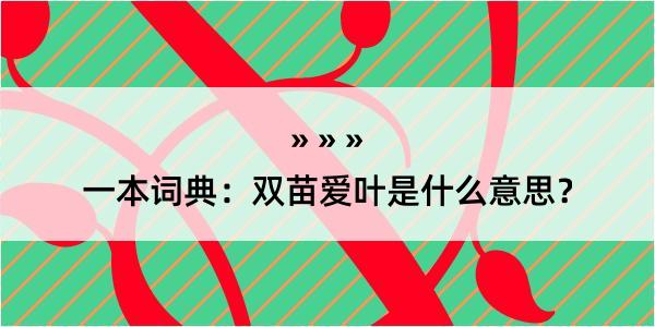 一本词典：双苗爱叶是什么意思？