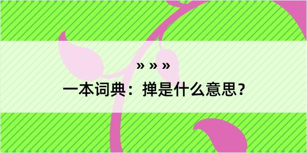 一本词典：掸是什么意思？