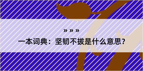 一本词典：坚韧不拔是什么意思？