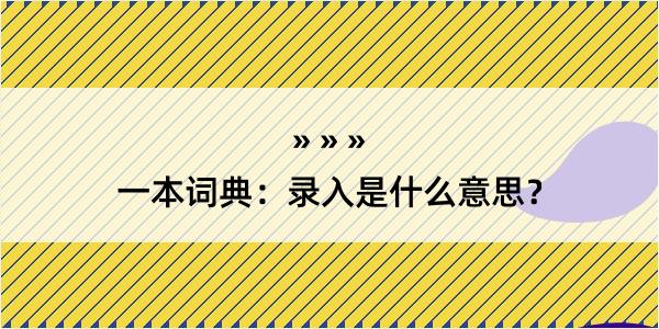 一本词典：录入是什么意思？