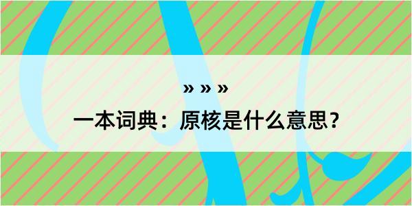 一本词典：原核是什么意思？