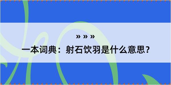 一本词典：射石饮羽是什么意思？