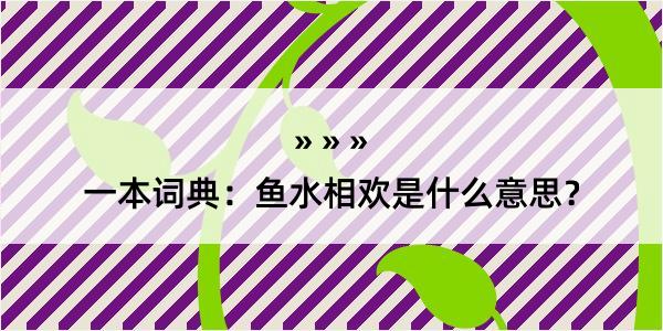 一本词典：鱼水相欢是什么意思？