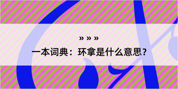 一本词典：环拿是什么意思？