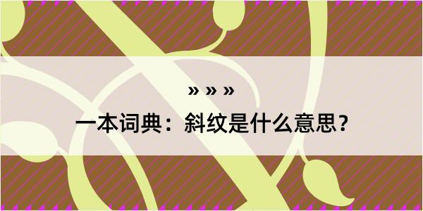 一本词典：斜纹是什么意思？