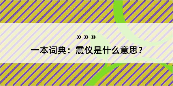 一本词典：震仪是什么意思？