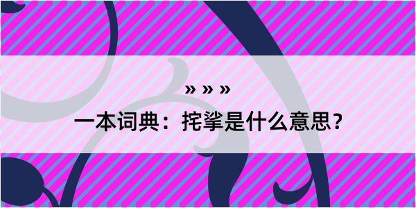 一本词典：挓挲是什么意思？