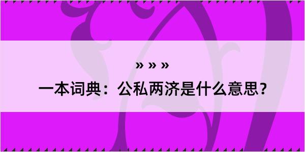 一本词典：公私两济是什么意思？