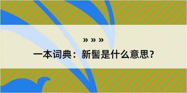 一本词典：新髻是什么意思？