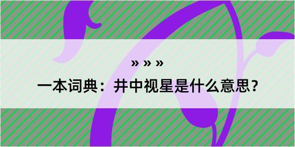 一本词典：井中视星是什么意思？