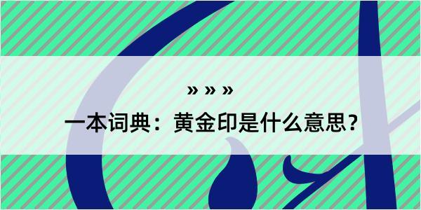 一本词典：黄金印是什么意思？