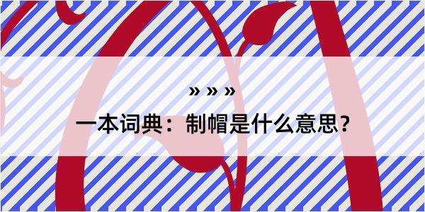 一本词典：制帽是什么意思？