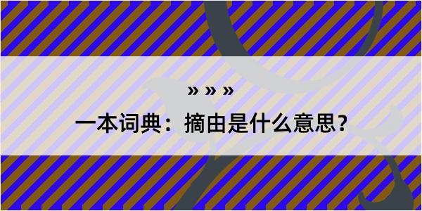 一本词典：摘由是什么意思？