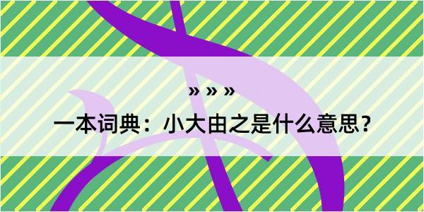 一本词典：小大由之是什么意思？